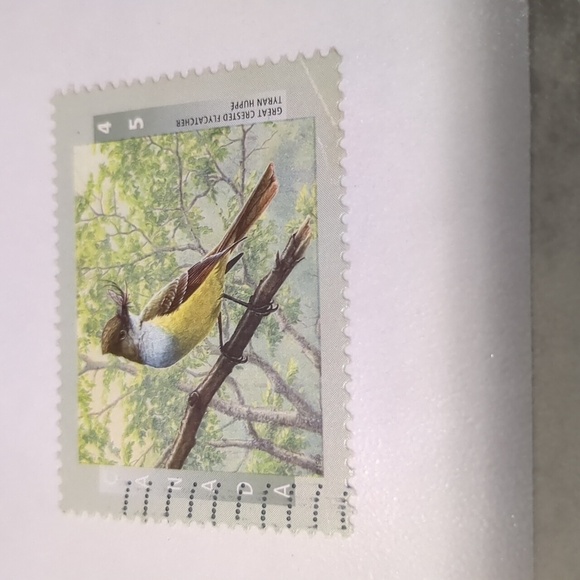 Great Crested Flycatcher Stamps With Information And Maps - Picture 2 of 4